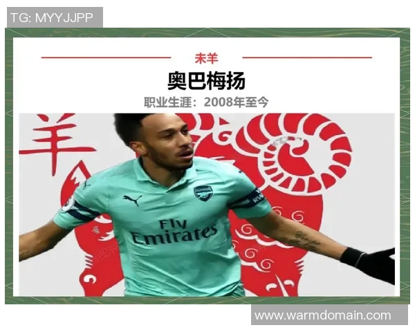 足球明星生肖解析全图鉴揭秘他们的属相与职业生涯的关系 足球明星生肖解析全图鉴揭秘他们的属相与职业生涯的关系