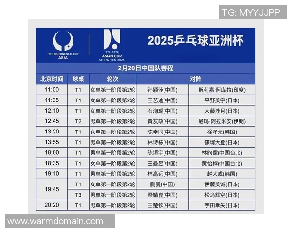 深圳乒乓球队深度解析：状态与训练的背后故事