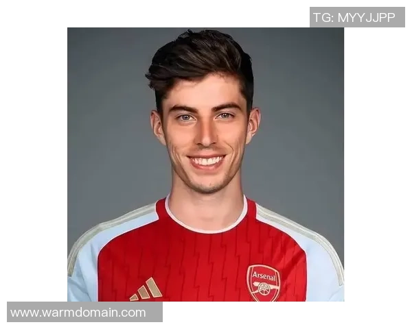 足球明星的性格特征与职业生涯成功之间的关系探讨