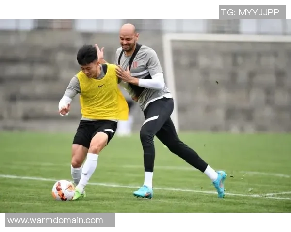 成都足球队在钻石联赛中的默契配合与战术执行分析