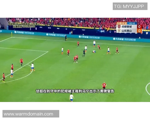 成都排球队灵活性引发热议球迷与专家观点碰撞激烈