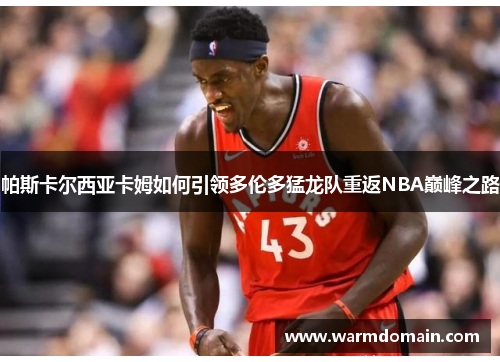 帕斯卡尔西亚卡姆如何引领多伦多猛龙队重返NBA巅峰之路