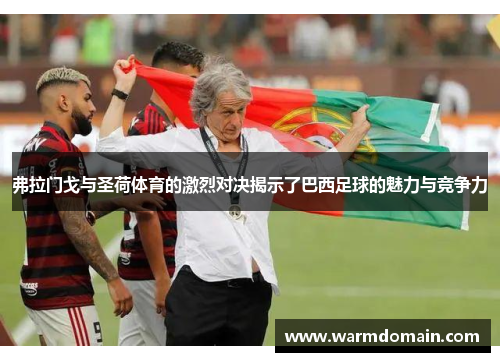 弗拉门戈与圣荷体育的激烈对决揭示了巴西足球的魅力与竞争力